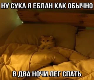 🌟 emoji Агро котики Telegram sticker 20 of 45
