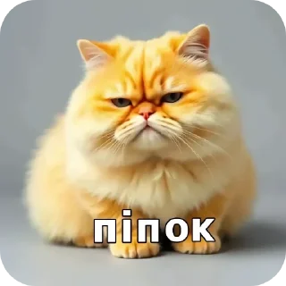 🐱 emoji Пипи @Blinchiki21 Telegram sticker 8 of 93