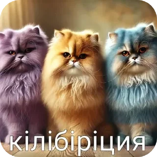 🐱 emoji Пипи @Blinchiki21 Telegram sticker 10 of 93