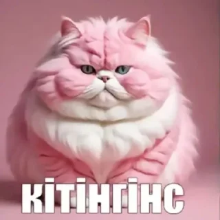 🌟 emoji Пипи @Blinchiki21 Telegram sticker 20 of 93