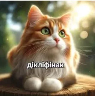 🌟 emoji Пипи @Blinchiki21 Telegram sticker 18 of 93