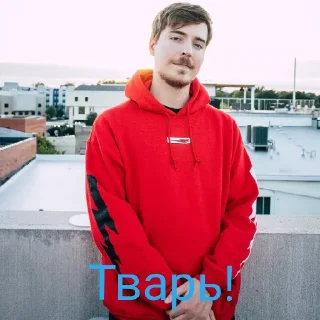 🤮 emoji Мистер Бист Telegram sticker 13 of 50
