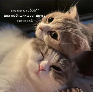 ❤️ emoji стикеры тут 👉 @sticker_08 Telegram sticker 18 of 25
