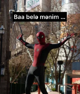 🕸️ emoji Spiderman Telegram sticker 9 of 45