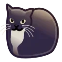 😽 emoji китти кет Telegram sticker 10 of 48
