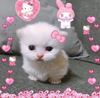 💗 emoji пак 82fin7ss Telegram sticker 12 of 117