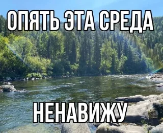 🌟 emoji Литерали ми когда расписание Telegram sticker 11 of 26