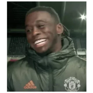 🤣 emoji Wan-Bissaka Telegram sticker 9 of 30