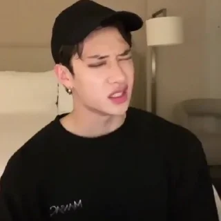 🪹 emoji |°•bang chan vlive•°| Telegram sticker 15 of 30