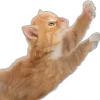 🌟 emoji TG:@DOZAURE Telegram sticker 20 of 23