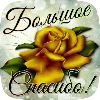 Sticker from foepe