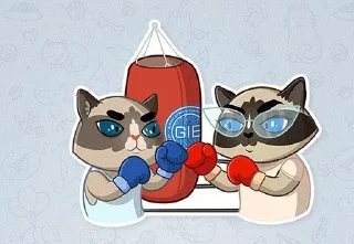 🌟 emoji Cat Telegram sticker 7 of 21