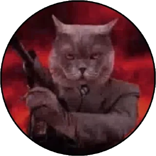 😎 emoji котячий гаремчик Женечки Telegram sticker 7 of 40