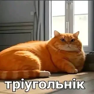 Sticker from Пiпiдастр