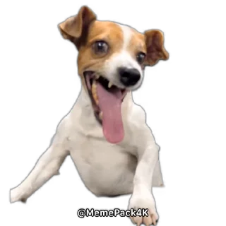 😂 emoji Doesn’t matter by @offstikbot Telegram sticker 14 of 120