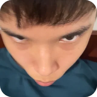 🫥 emoji паракато ебала Telegram sticker 8 of 10