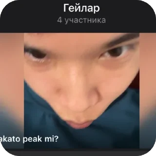 🫥 emoji паракато ебала Telegram sticker 10 of 10