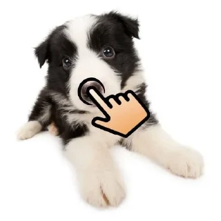 🌟 emoji zhakh i pes Telegram sticker 22 of 59