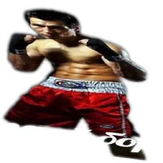 💪 emoji moran Telegram sticker 21 of 63