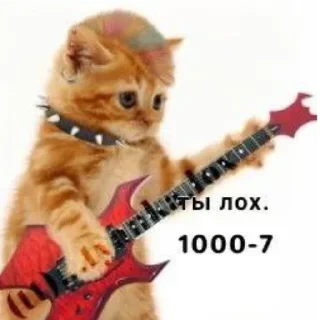 🎸 emoji Котики2(@Gos_Aye) Telegram sticker 20 of 80