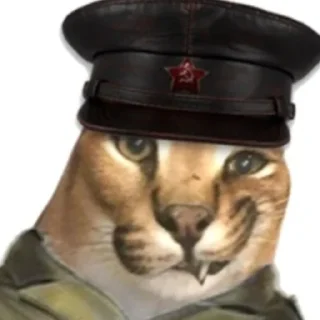 👨‍🎨 emoji Котики2(@Gos_Aye) Telegram sticker 7 of 80