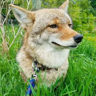 😏 emoji NAVARI's rl yotes Telegram sticker 14 of 54