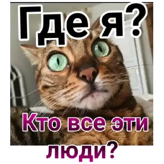 ❤ emoji Саймон говорит @Psycho_cat Telegram sticker 1 of 120