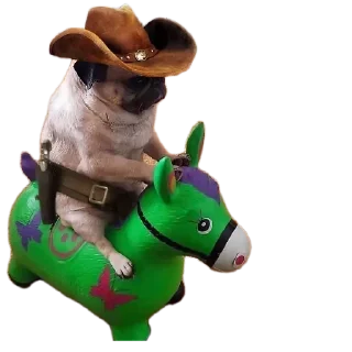 🎩 emoji Стикеры Кирилла Ватермелона(СКВ) Telegram sticker 4 of 83