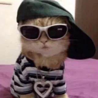 😎 emoji а э гав¿ Telegram sticker 14 of 35