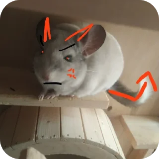 🐱 emoji Нпс-пиксели Telegram sticker 5 of 38