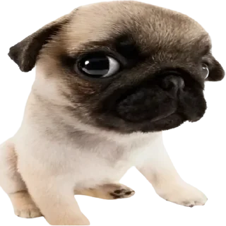 😚 emoji Lash n1 Telegram sticker 12 of 25