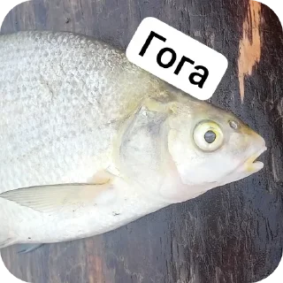 ❤ emoji Гога и стикеры Telegram sticker 11 of 56