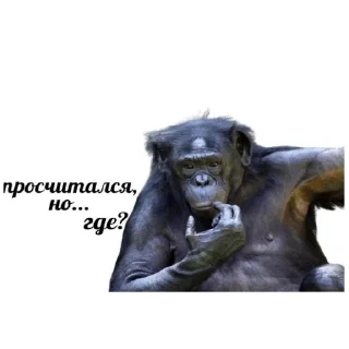 🗿 emoji четыре арканы Telegram sticker 13 of 120