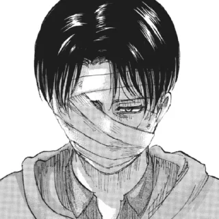 😔 emoji shingeki no kyojin Telegram sticker 11 of 75