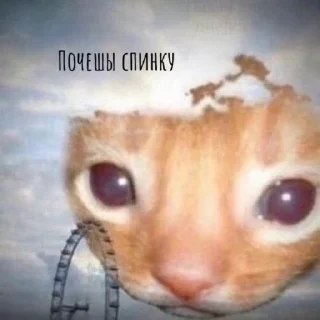 🌟 emoji гриша качек Telegram sticker 4 of 13