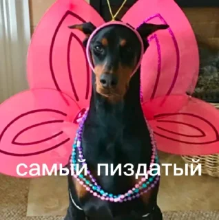 🎭 emoji ебанутые грасс Telegram sticker 14 of 35