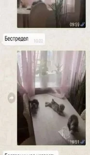 Sticker from ТУПЫЕ МЕМЫ