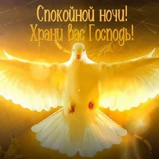 😇 emoji сисимасиси @cpssusw Telegram sticker 17 of 25