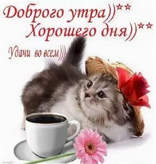 😚 emoji сисимасиси @cpssusw Telegram sticker 23 of 25