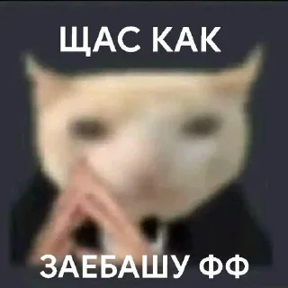 Sticker from жоские фразочки и мемчики