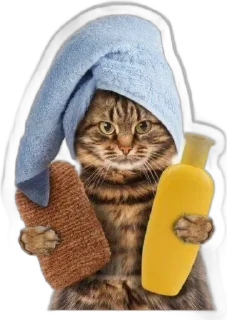 🧴 emoji Атоми Ульяновск Telegram sticker 6 of 25