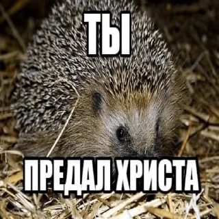 Sticker from Православие☦