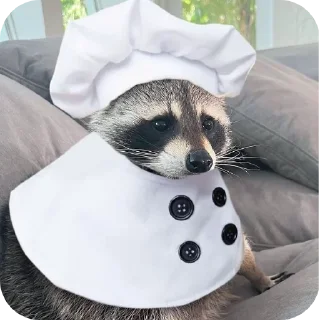 🐶 emoji Еноты 🦝 Telegram sticker 6 of 23