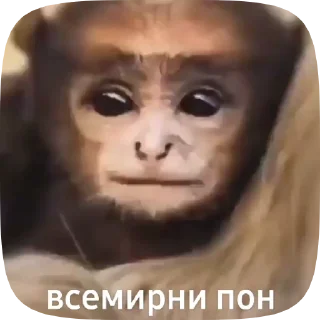 😎 emoji Гифки от бота Telegram sticker 15 of 18