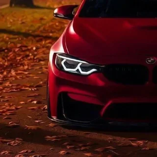🌟 emoji BMW MOTORS ♥️ Telegram sticker 20 of 26