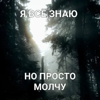 Sticker from эмоции