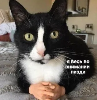 Sticker from Емае