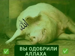 🌟 emoji моти @vkycnaya_moti Telegram sticker 24 of 75
