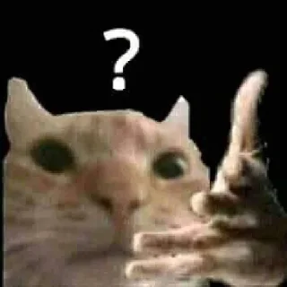 ❓ emoji мемчики 2 Telegram sticker 9 of 57