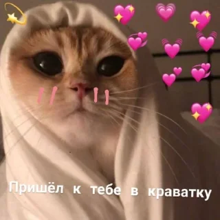💖 emoji Канал чото @i_gay97542 Telegram sticker 22 of 28